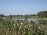 NL, Zuid-Holland, Dordrecht, Polder Kort- en Lang Ambacht 11, Saxifraga-Willem van Kruijsbergen