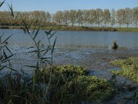 NL, Zuid-Holland, Dordrecht, Tongplaat 10, Saxifraga-Marijke Verhagen