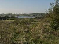 NL, Zuid-Holland, Dordrecht, Tongplaat 17, Saxifraga-Jan van der Straaten