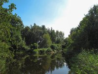 NL, Zuid-Holland, Midden-Delfland, Ackerdijkse Plassen 1, Saxifraga-Bart Vastenhouw