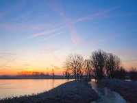 NL, Zuid-Holland, Midden-Delfland, Tanthofkade 2, Saxifraga-Bart Vastenhouw