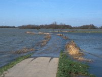 NL, Gelderland, West-Betuwe, Heesselt 6, Saxifraga-Jan van der Straaten