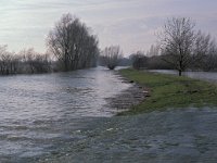 NL, Gelderland, Zaltbommel, Munniklenland 8,  Saxifraga-Jan van der Straaten