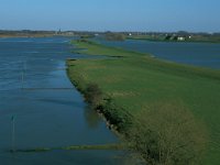 NL, Utrecht, Rhenen 1, Saxifraga-Jan van der Straaten