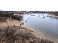 NL, Zuid-Holland, Noordwijk, Oude Golf 1, Saxifraga-Jelle van Dijk