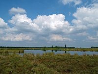 NL, Drenthe, Midden-Drenthe, Mantingerveld, Hullenzand 2, Saxifraga-Hans Dekker