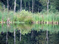 NL, Drenthe, Tynaarlo 1, Foto Fitis-Sytske Dijksen