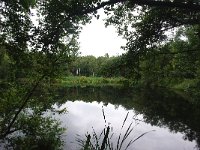 NL, Drenthe, Tynaarlo 2, Foto Fitis-Sytske Dijksen