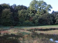 NL, Gelderland, Heumen, Overasseltsche en Hatertse vennen 423, Saxifraga-Hans Boll