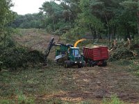 NL, Gelderland, Wijchen, Wijchense vennen 389, Saxifraga-Hans Boll