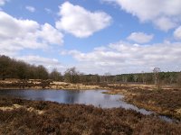 NL, Limburg, Roerdalen, Meinweg 1, Foto Fitis-Sytske Dijksen