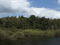 NL, Limburg, Roerdalen, Turfkoelen 6, Saxifraga-Marijke Verhagen