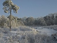 NL, Noord-Brabant, Alphen-Chaam, Goudberg 5, Saxifraga-Jan van der Straaten