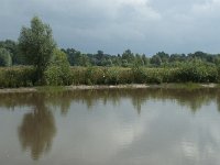 NL, Noord-Brabant, Alphen-Chaam, Strijbeekse Heide 4, Saxifraga-Willem van Kruijsbergen