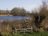 NL, Noord-Brabant, Bergeijk, Liskes Visvijver 10, Saxifraga-Marijke Verhagen