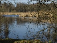 NL, Noord-Brabant, Bergeijk, Pastoorsweijer 11, Saxifraga-Jan van der Straaten