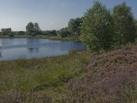 NL, Noord-Brabant, Boxtel, Brandven 7, Saxifraga-Jan van der Straaten