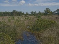 NL, Noord-Brabant, Boxtel, Kromven 3, Saxifraga-Jan van der Straaten