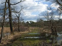 NL, Noord-Brabant, Boxtel, Melaniedreef 3, Saxifraga-Jan van der Straaten