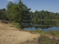 NL, Noord-Brabant, Boxtel, Palingven 3, Saxifraga-Jan van der Straaten