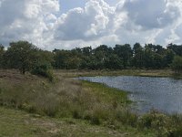 NL, Noord-Brabant, Boxtel, Zandbergsven 4, Saxifrag-Jan van der Straaten