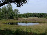 NL, Noord-Brabant, Goirle, Regte Heide 41, Saxifraga-Lucien Rommelaars