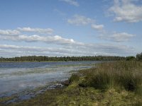 NL, Noord-Brabant, Oirschot, Keijenhurk 5, Saxifraga-Jan van der Straaten