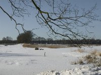 NL, Noord-Brabant, Oirschot, Winkelsven 26, Saxifraga-Marijke Verhagen