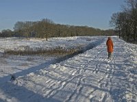 NL, Noord-Brabant, Oirschot, Winkelsven 8, Saxifraga-Jan van der Straaten