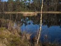 NL, Noord-Brabant, Oisterwijk, Klein Aderven 4, Saxifraga-Jan van der Straaten