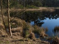 NL, Noord-Brabant, Oisterwijk, Klein Aderven 7, Saxifraga-Jan van der Straaten