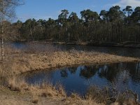 NL, Noord-Brabant, Oisterwijk, Van Esschenven 4, Saxifraga-Jan van der Straaten