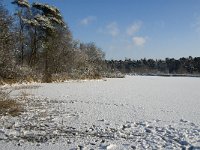 NL, Noord-Brabant, Oisterwijk, Voorste Goorven 11, Saxifraga-Jan van der Straaten