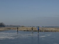 NL, Noord-Brabant, Someren, Beuven 4, Saxifraga-Jan van der Straaten