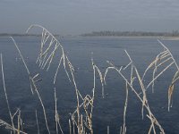 NL, Noord-Brabant, Someren, Beuven 9, Saxifraga-Jan van der Straaten