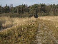 NL, Noord-Brabant, Valkenswaard, Grevenschutsven 10, Saxifraga-Marijke Verhagen