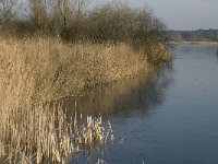 NL, Noord-Brabant, Valkenswaard, Grevenschutsven 12, Saxifraga-Marijke Verhagen