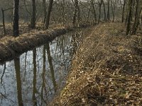 NL, Noord-Brabant, Valkenswaard, fishponds 11, Saxifraga-Jan van der Straaten