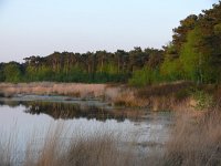 NL, Noord-Brabant, Veldhoven, Groot Vlasroot 2, Saxifraga-Tom Heijnen