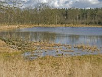 NL, Noord-Brabant, Woensdrecht, de Zoom, Bronven 3, Saxifraga-Jan van der Straaten