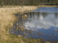 NL, Noord-Brabant, Woensdrecht, de Zoom, Bronven 5, Saxifraga-Jan van der Straaten