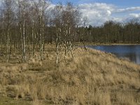 NL, Noord-Brabant, Woensdrecht, de Zoom, Bronven 8, Saxifraga-Jan van der Straaten