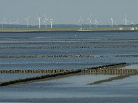 D, Schleswig-Holstein, Nordstrand, Norden 1, Saxifraga-Jan van der Straaten