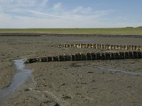 D, Schleswig-Holstein, Nordstrand, Westen 4, Saxifraga-Jan van der Straaten