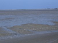 NL, Friesland, Ameland, Dantziggat 23, Saxifraga-Hans Boll