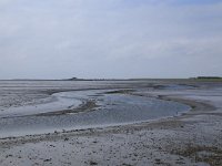 NL, Friesland, Ameland, Dantziggat 8, Saxifraga-Hans Boll