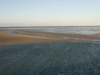 NL, Friesland, Terschelling, Terschellinger wad 12, Saxifraga-Hans Boll