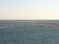 NL, Friesland, Terschelling, Terschellinger wad 3, Saxifraga-Hans Boll