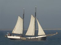 NL, Friesland, Terschelling, Waddenzee 3, Saxifraga-Jan van der Straaten