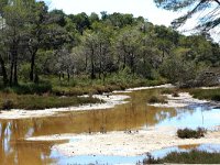 Natural and semi-natural standing freshwater-Natuurlijk stilstaand zoet water